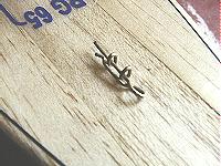 El Arraigo del Foque